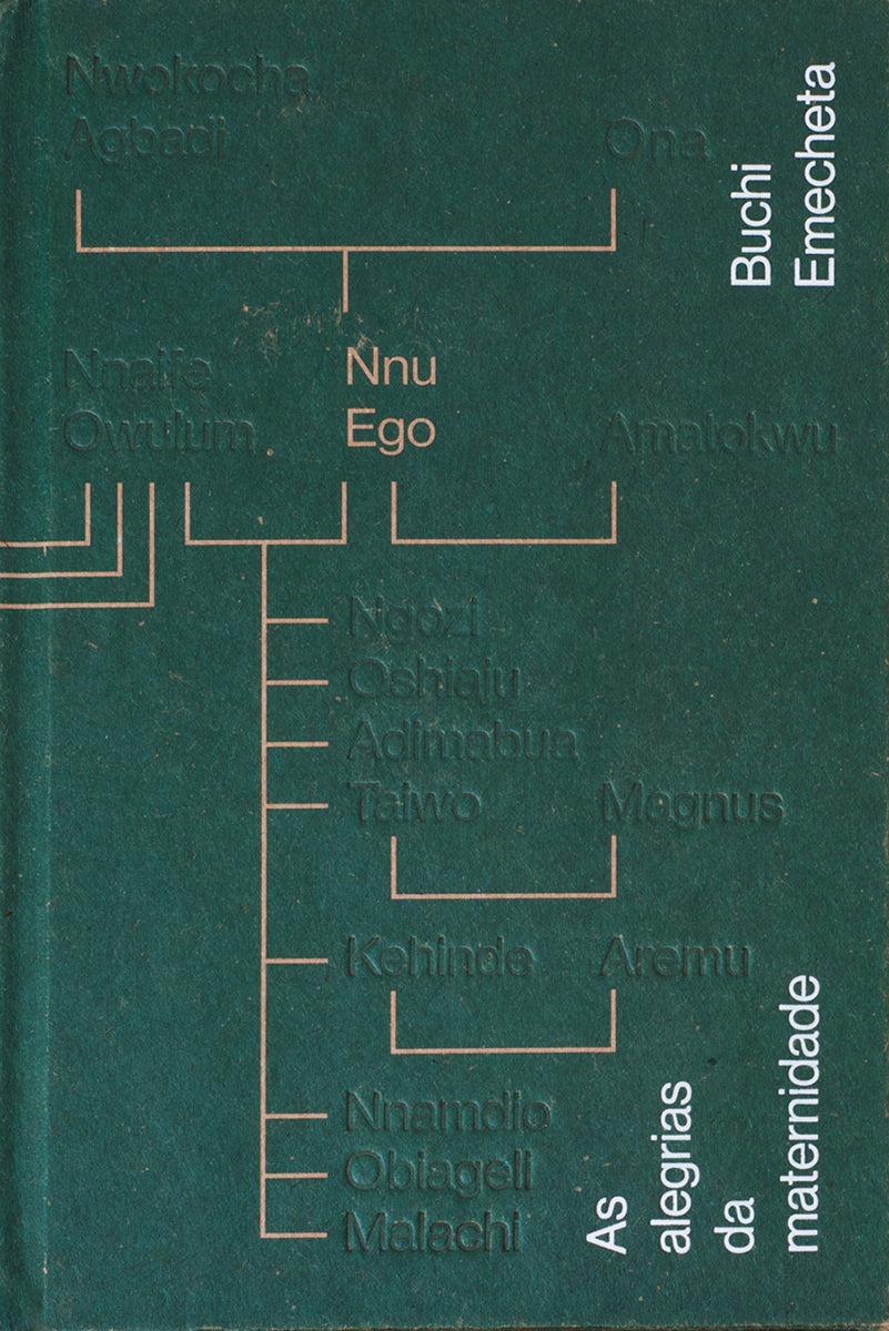 Livro As alegrias da maternidade