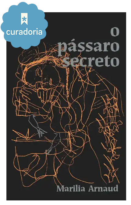 Kit O pássaro secreto