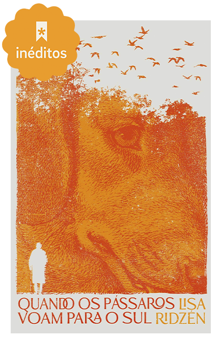 Kit Quando os pássaros voam para o sul